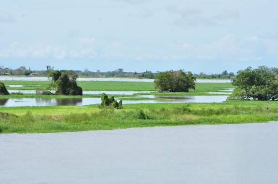 A linda paisagem na viagem de ferry sobre o Rio Magdalena, em Mompós - Colômbia